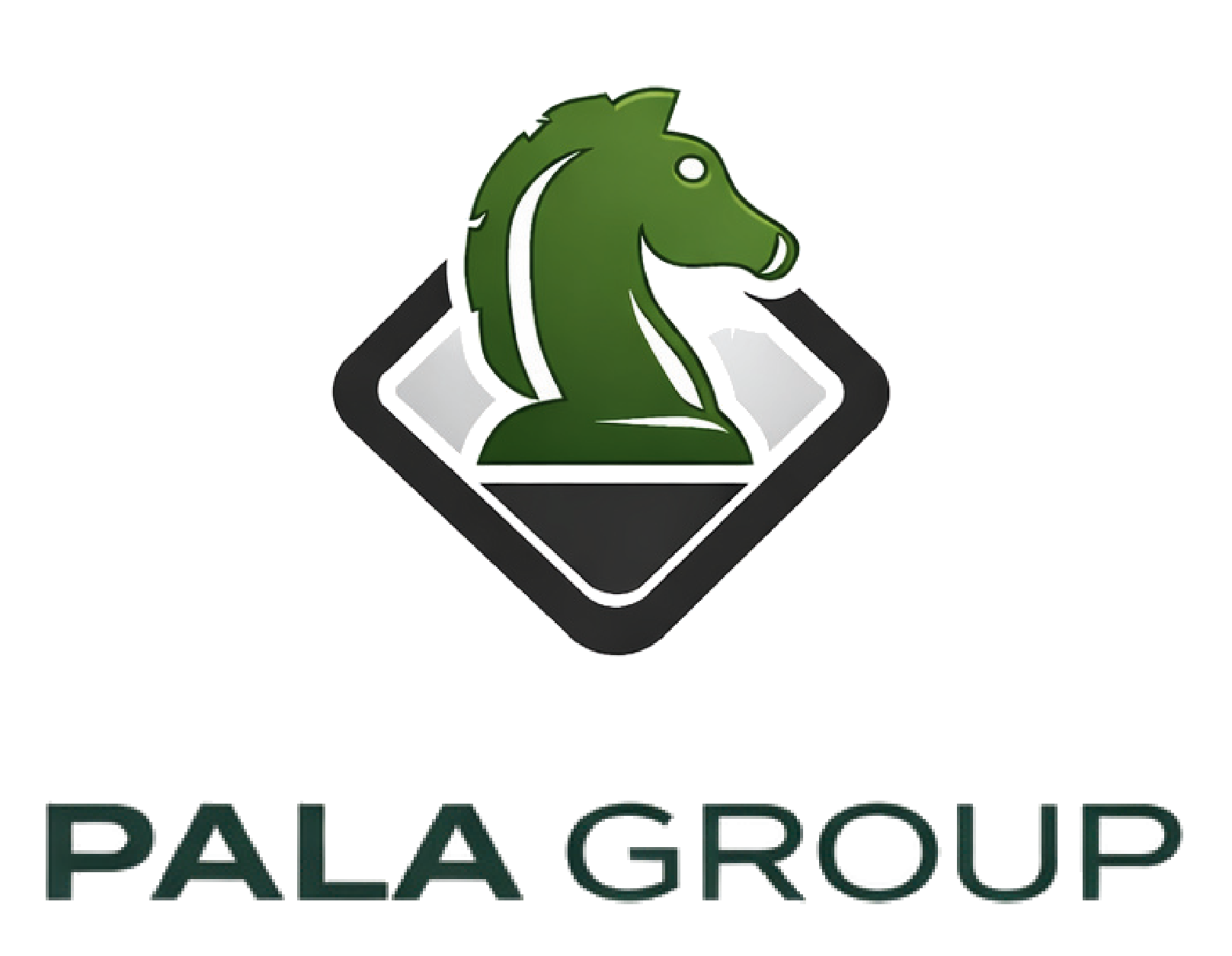 Pala Group